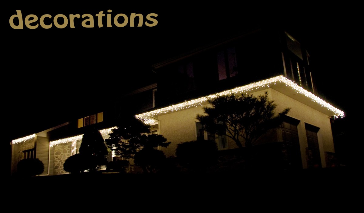 (2) Decorations: Our house is all decked out!