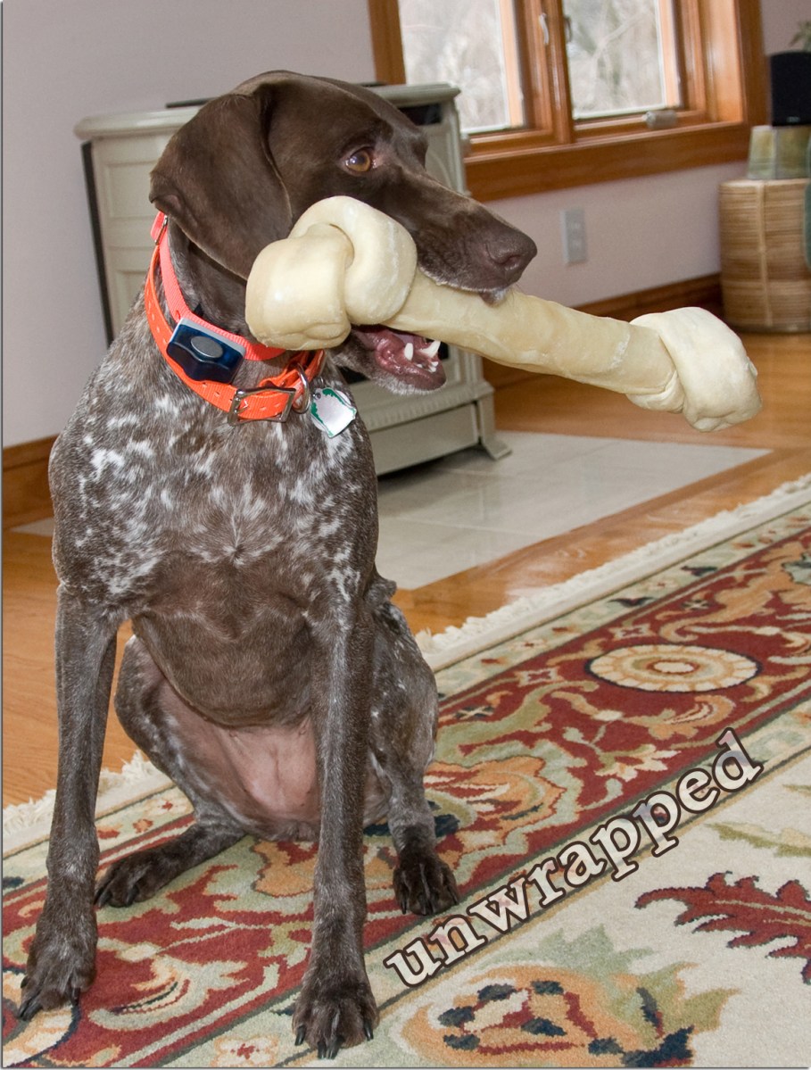 25 - This is what Bailey unwrapped on Christmas morning!