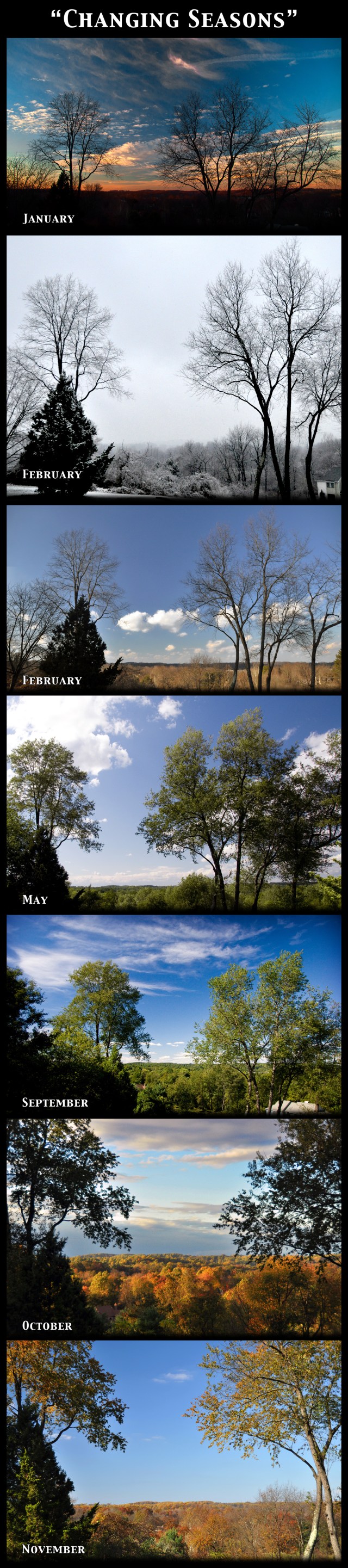 Changing Seasons: Looking out over Willistown Township