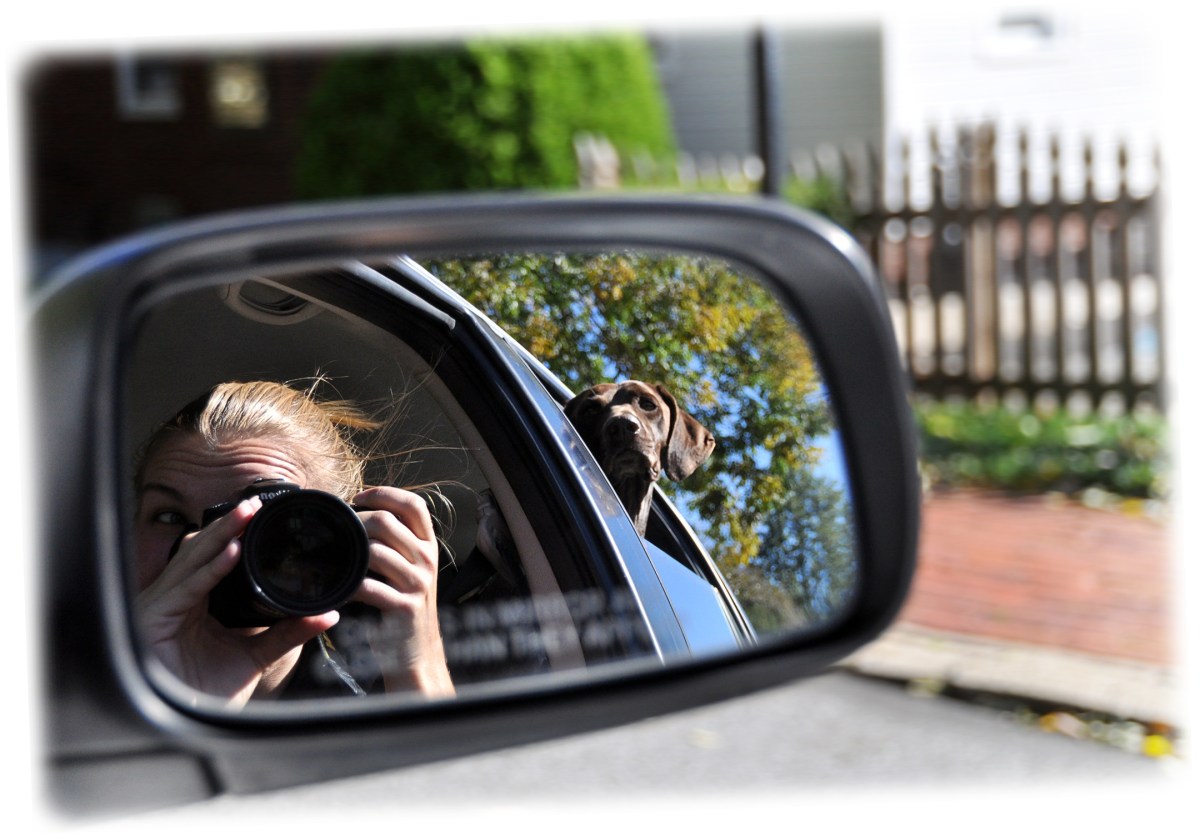 weekly photo contest - "reflection"