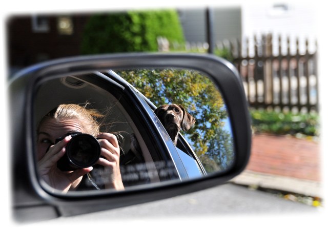 weekly photo contest - "reflection"