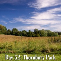 Thornbury Park in September