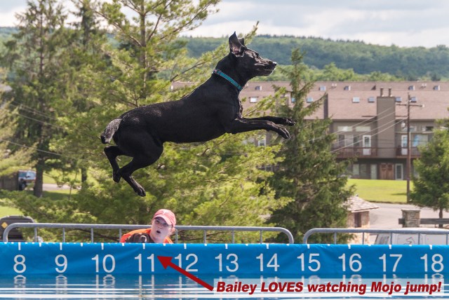 Bailey getting psyched up watching Mojo