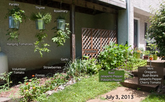 Garden 7-3-13