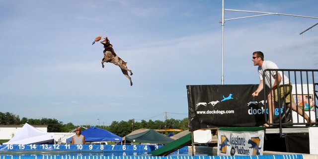 One Shot Two Ways #2