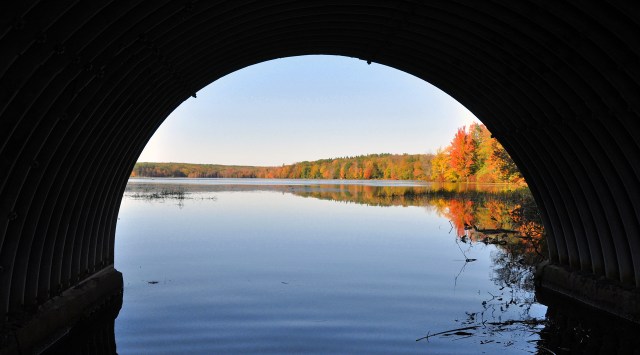 A different POV- Promised Land Lake thru the Conservation Island Bridge