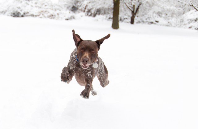 Dashing through the snow!