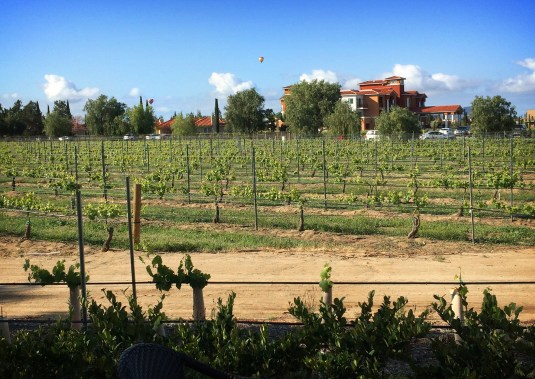 4 View out our window Saturday morning