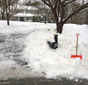 Snowy Mailbox
