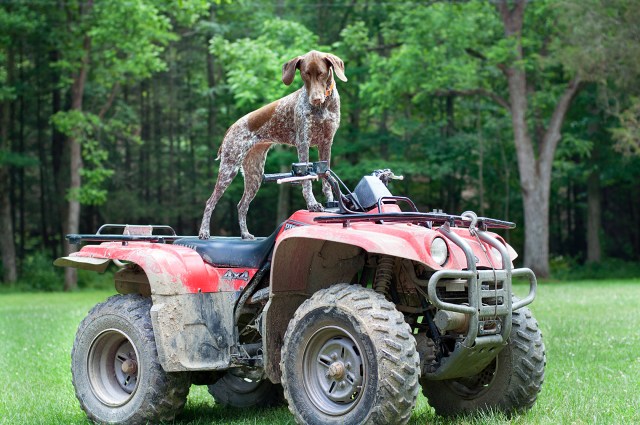 912 Piper on the ATV