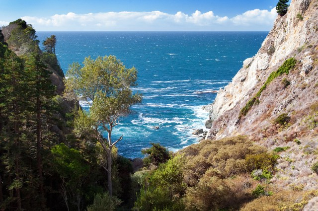 Partington Cove from above