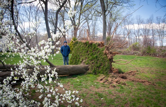 649 Matt and the Tree