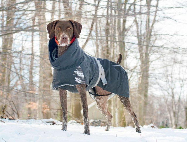 Hurtta Extreme Warmer Dog Jacket