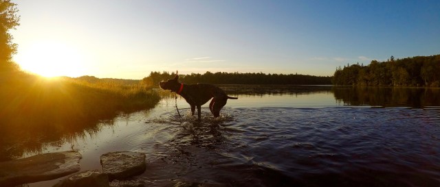 Dawn at Promised Land State Park