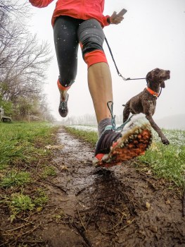 DCIM100GOPROG0723842.